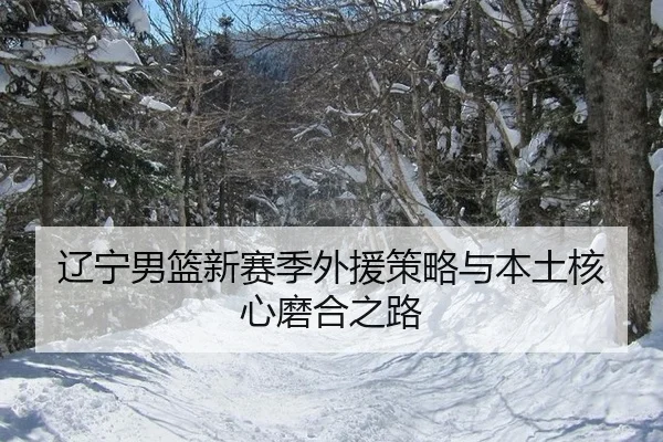 辽宁男篮新赛季外援策略与本土核心磨合之路